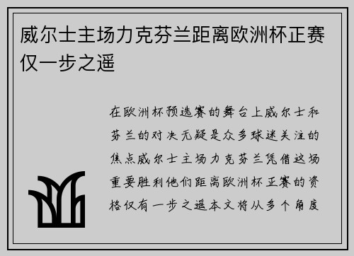 威尔士主场力克芬兰距离欧洲杯正赛仅一步之遥